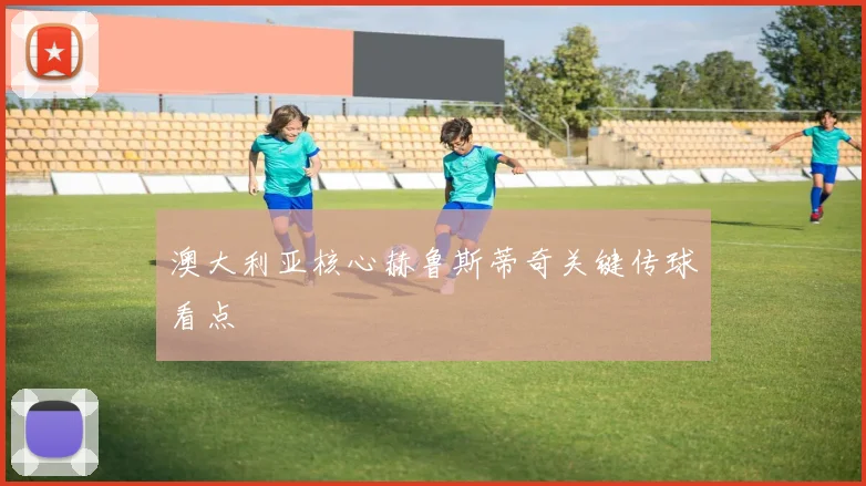 澳大利亚核心赫鲁斯蒂奇关键传球看点