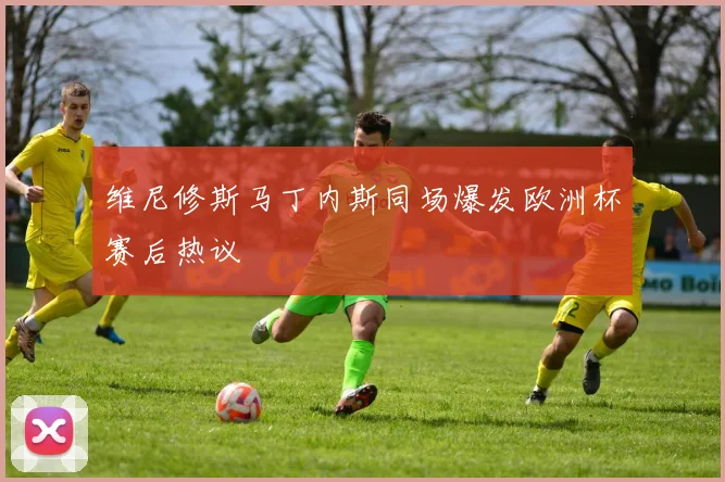 维尼修斯马丁内斯同场爆发欧洲杯赛后热议
