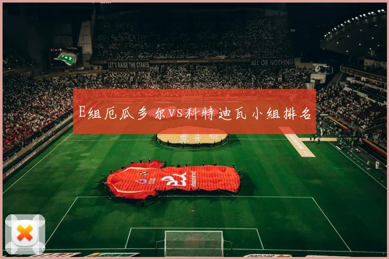 E组厄瓜多尔vs科特迪瓦小组排名