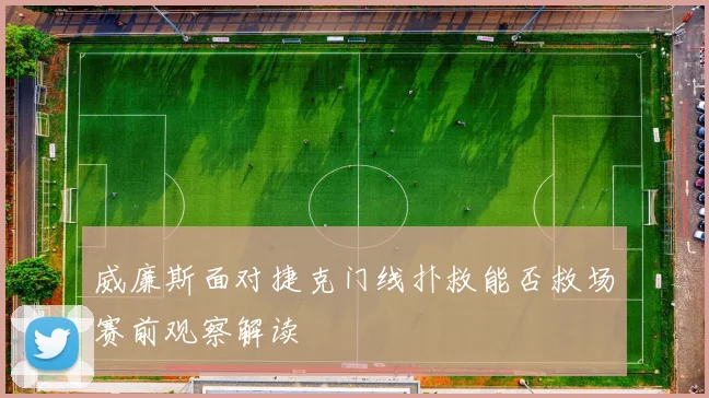威廉斯面对捷克门线扑救能否救场赛前观察解读