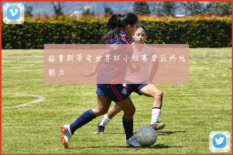 赫鲁斯蒂奇世界杯小组赛禁区终结能力