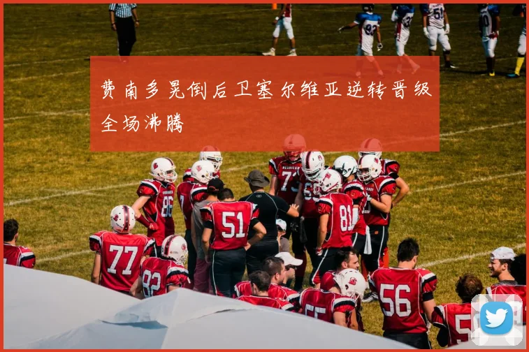 费南多晃倒后卫塞尔维亚逆转晋级全场沸腾