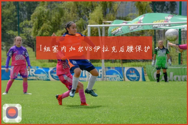 I组塞内加尔vs伊拉克后腰保护