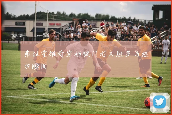 弗拉霍维奇穿裆破门尤文胜罗马经典瞬间