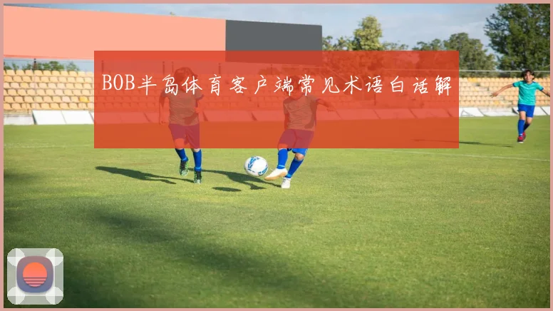 BOB半岛体育客户端常见术语白话解