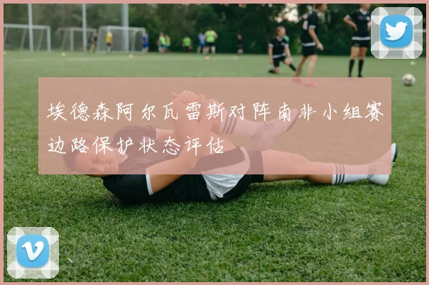 埃德森阿尔瓦雷斯对阵南非小组赛边路保护状态评估