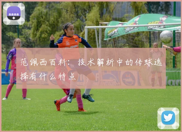 范佩西百科：技术解析中的传球选择有什么特点