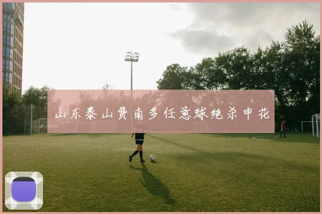 山东泰山费南多任意球绝杀申花