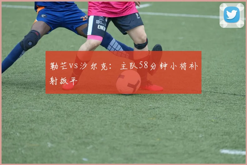 勒芒vs沙尔克:主队58分钟小将补射扳平